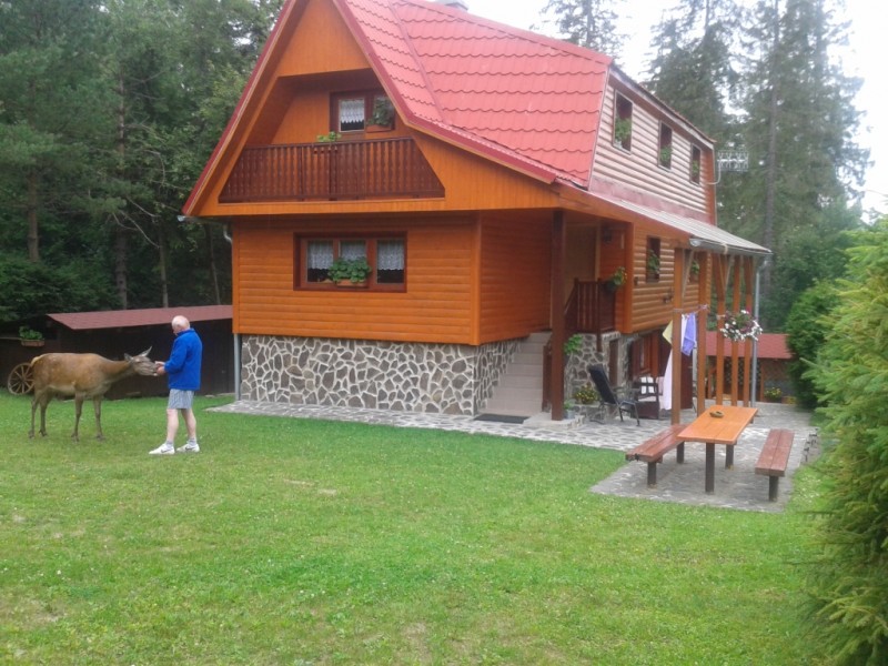 Cottage OLA #2