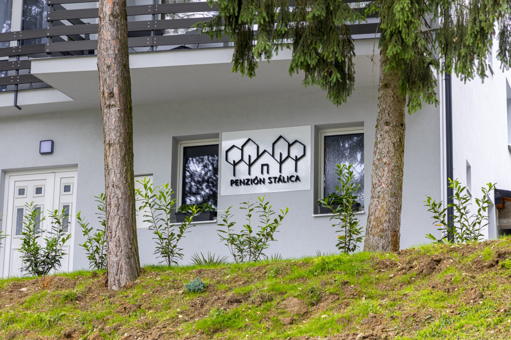 STALICA Guesthouse #9