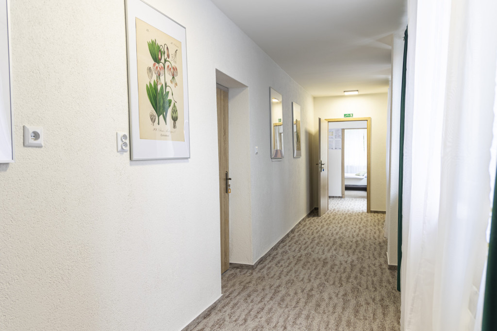 STALICA Guesthouse #37