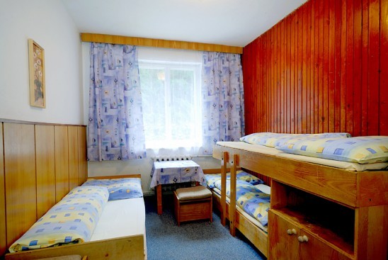 Chalet ZAHRADKY #7