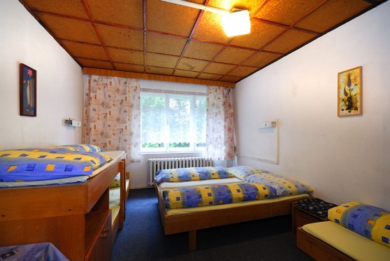 Chalet ZAHRADKY #8