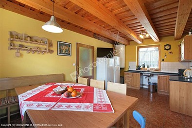 Holiday house MARKO #15