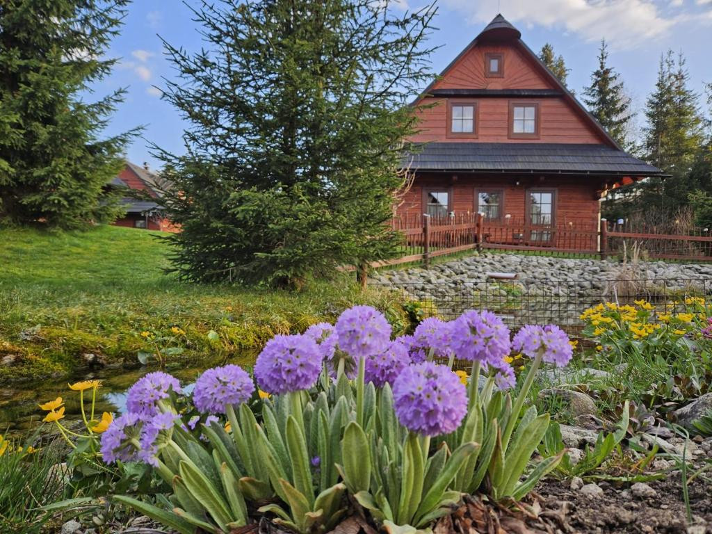 Wooden cottages Zuberec - Apartments #26