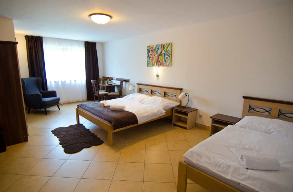 Garni Hotel FATRA #8