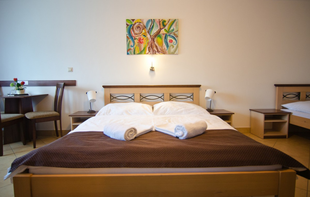 Garni Hotel FATRA #9