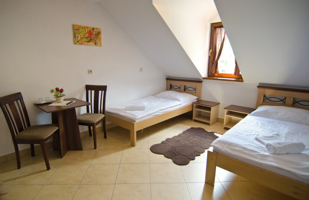 Garni Hotel FATRA #39