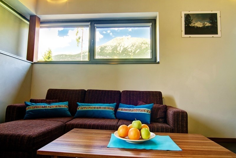 Mountain Villas POLANA #2