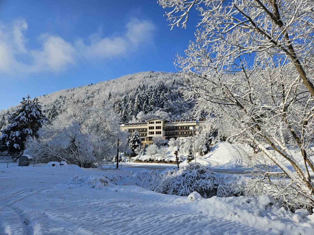Berghotel Javorná #6