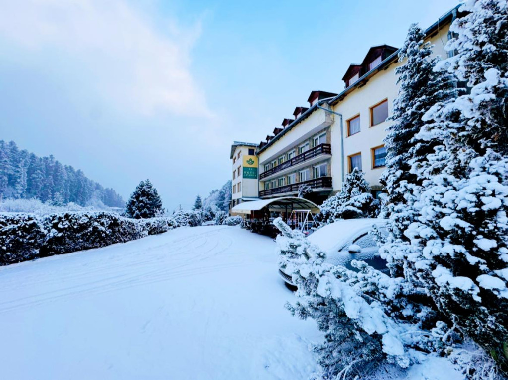 Berghotel Javorná #8