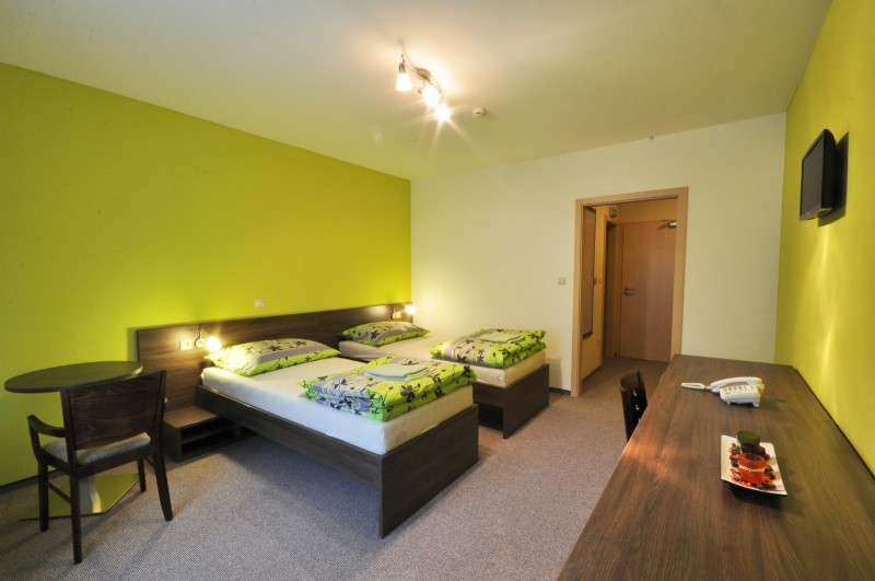 Horský Wellness hotel JAVORNÍK #11