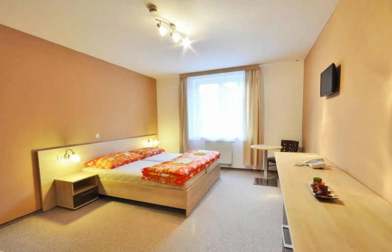 Horský Wellness hotel JAVORNÍK #12