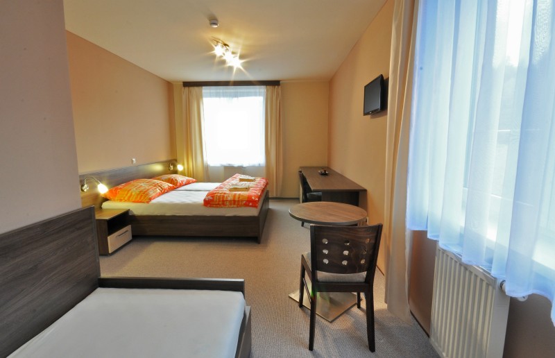 Horský Wellness hotel JAVORNÍK #13