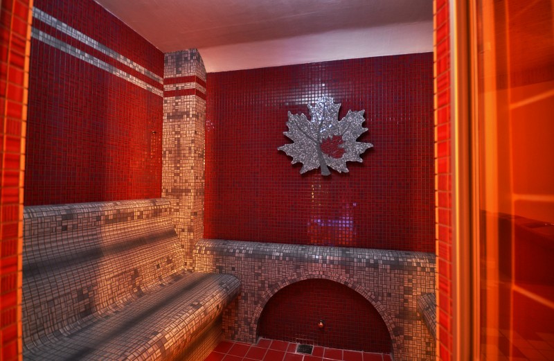 Horský Wellness hotel JAVORNÍK #18
