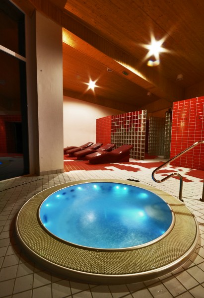 Horský Wellness hotel JAVORNÍK #20