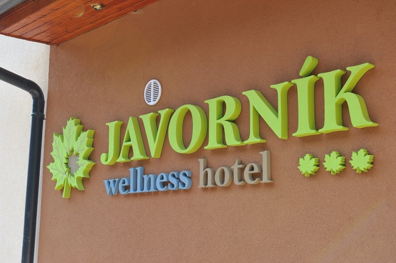 Horský Wellness hotel JAVORNÍK #6