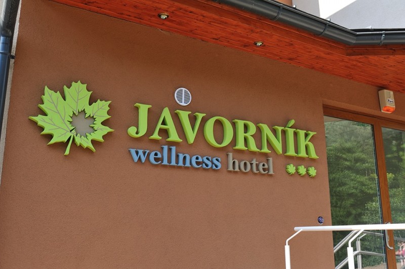 Horský Wellness hotel JAVORNÍK #7
