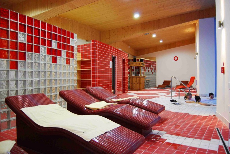 Horský Wellness hotel JAVORNÍK #36