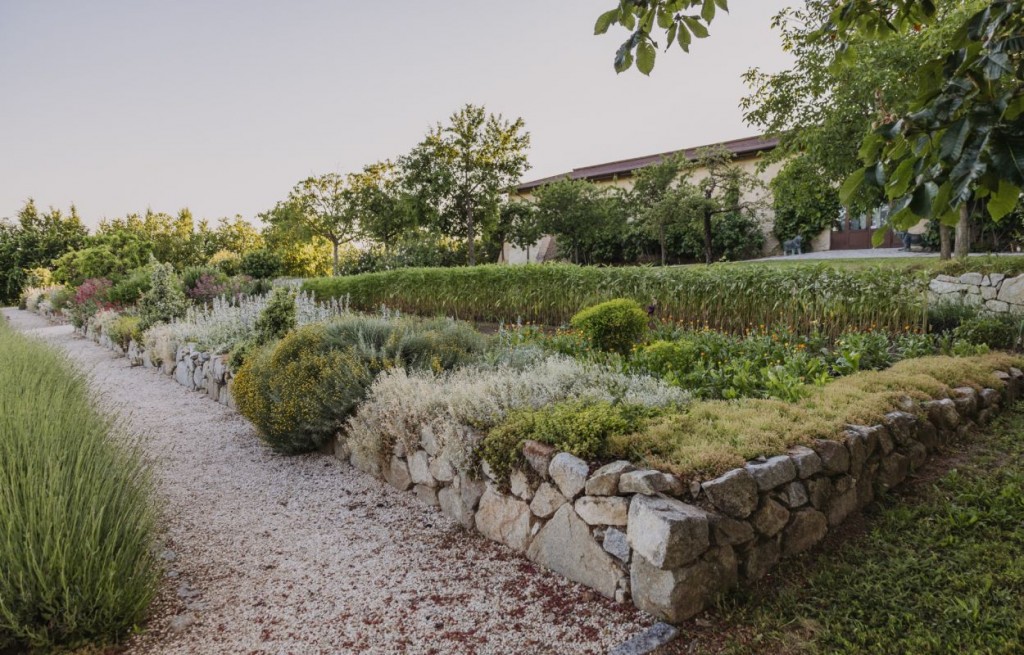 Hotel CHÂTEAU BELA #14