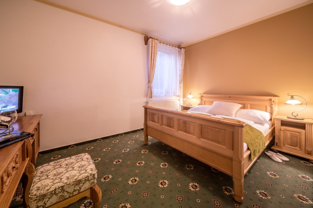 Hotel DIANA #31