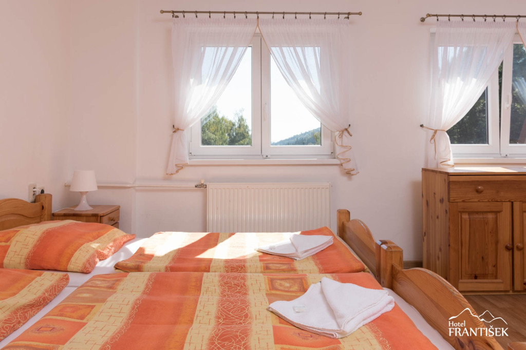 Hotel Frantisek #24