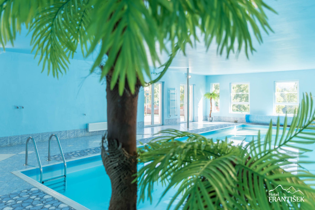 Hotel Frantisek #28
