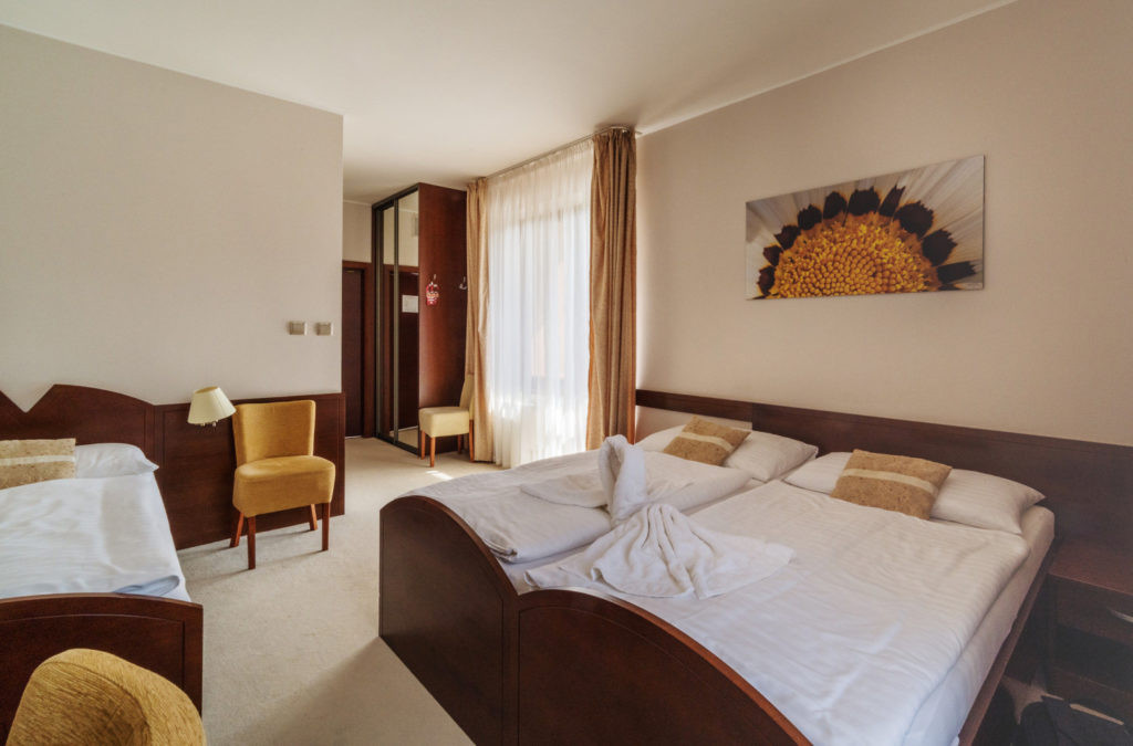 Hotel IMPOZANT #80
