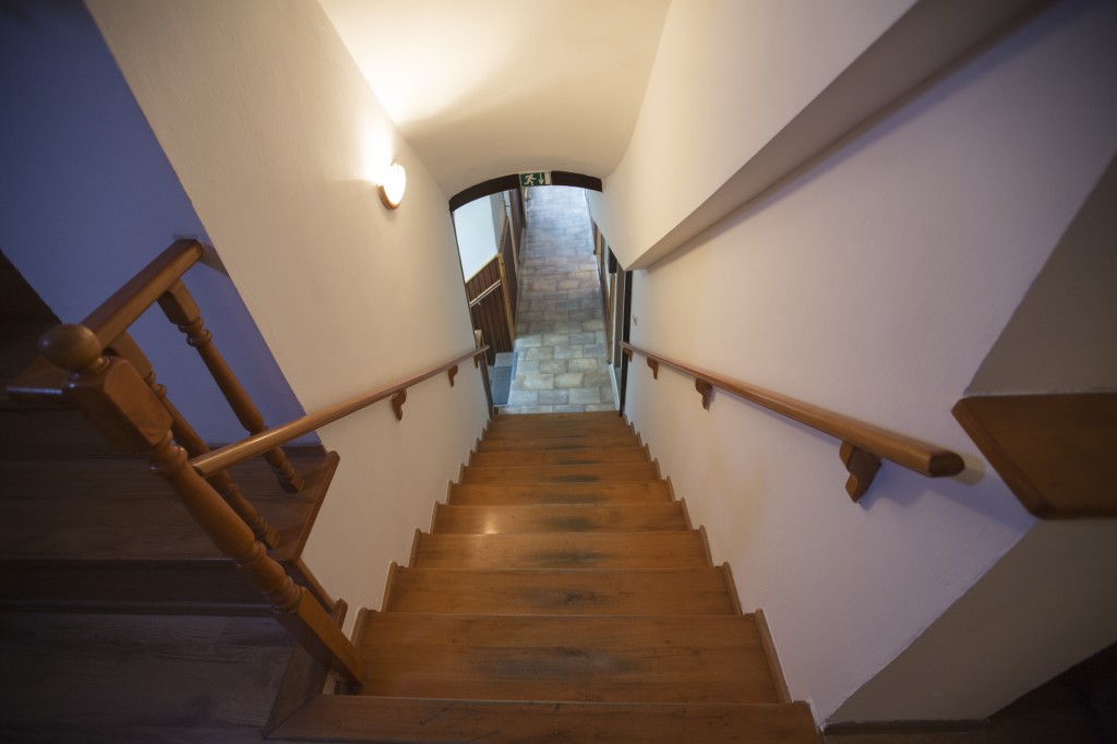 Hotel JELEN #7
