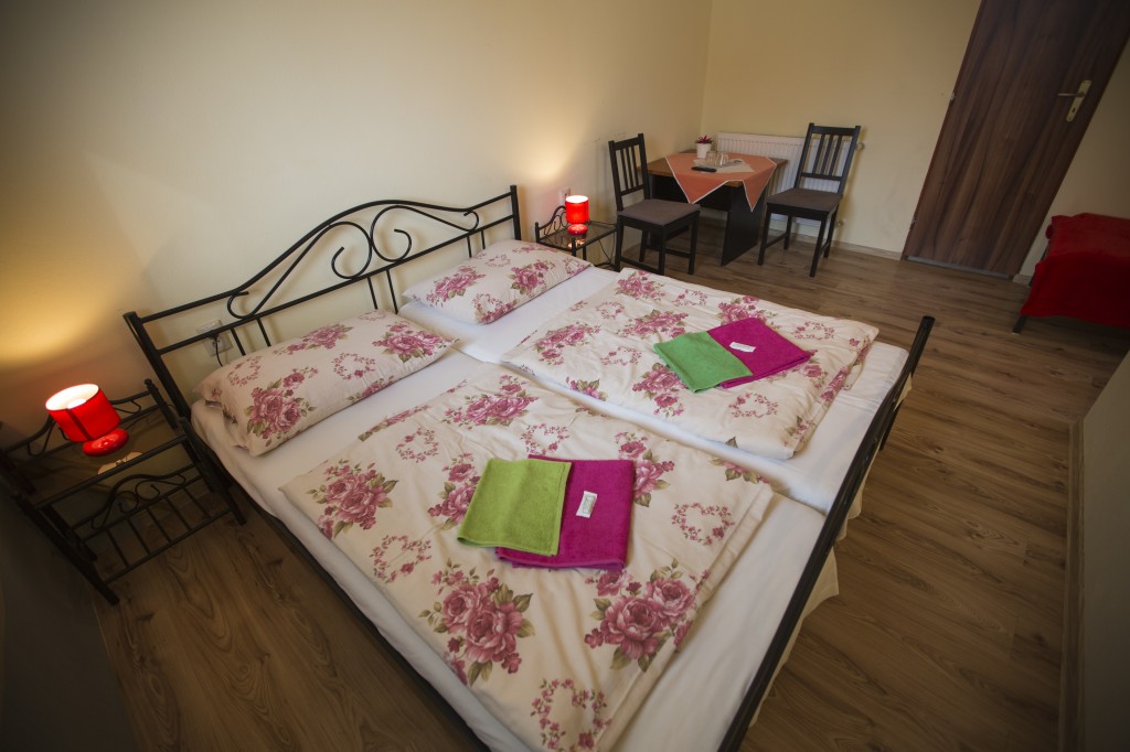 Hotel JELEN #12
