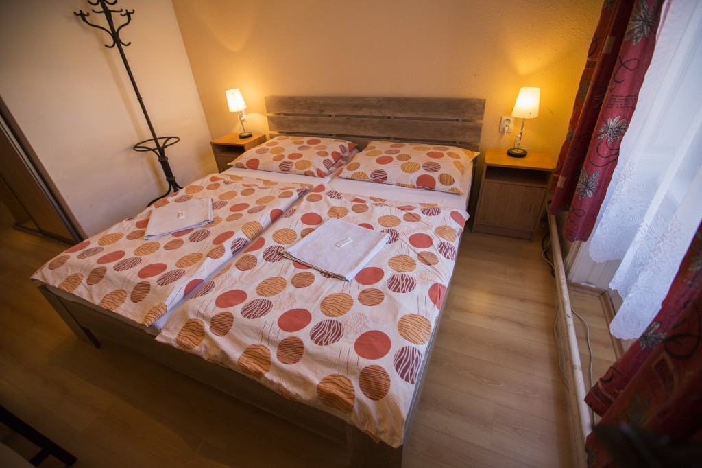 Hotel JELEN #16