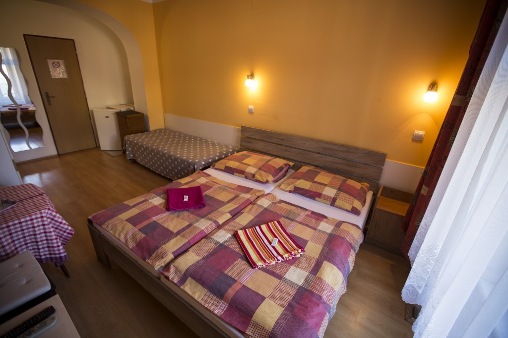 Hotel JELEN #17