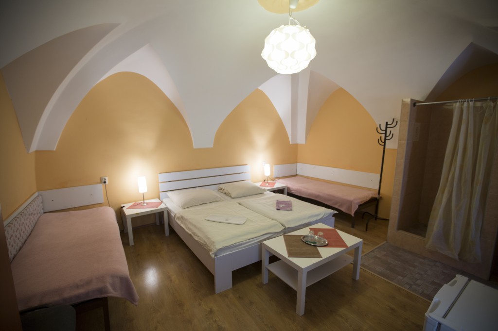 Hotel JELEN #22
