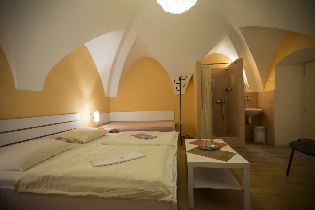 Hotel JELEN #23