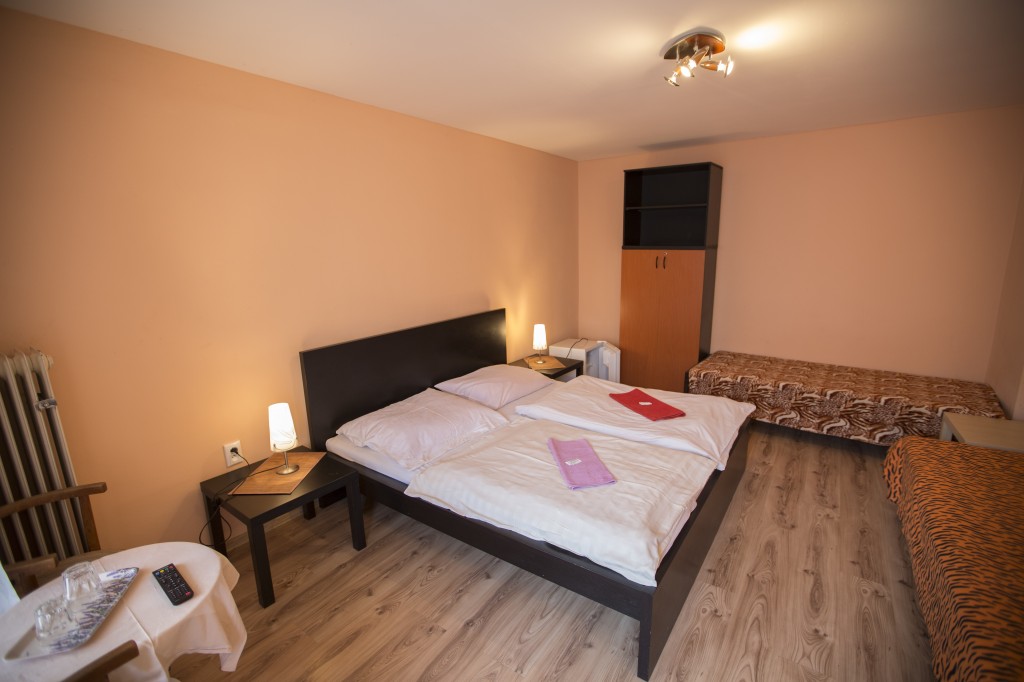 Hotel JELEN #24