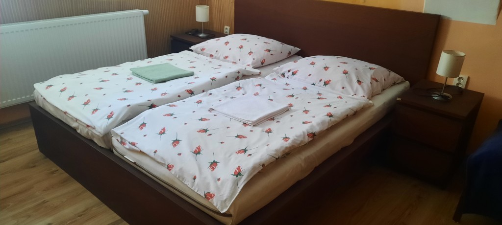 Hotel JELEN #10