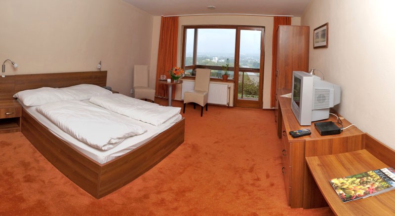 Hotel PANORAMA #7