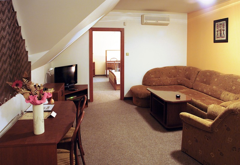 Hotel POD HRADOM #7