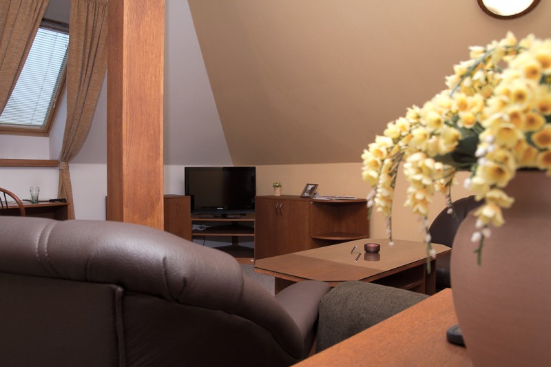 Hotel POD HRADOM #12