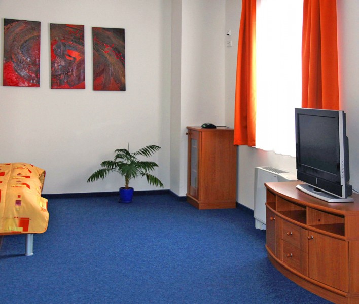 Hotel REMY - Garni #11