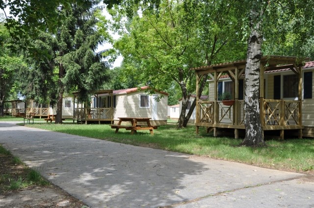 Camping ZELENÁ VODA - Mobile houses #5