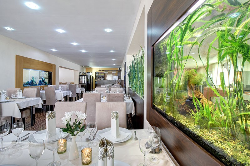 DIXON Resort Congress Hotel & Aqualand #9