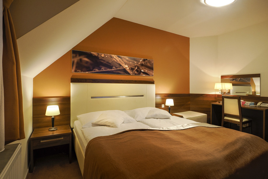 Spa Hotel Zdravia #44