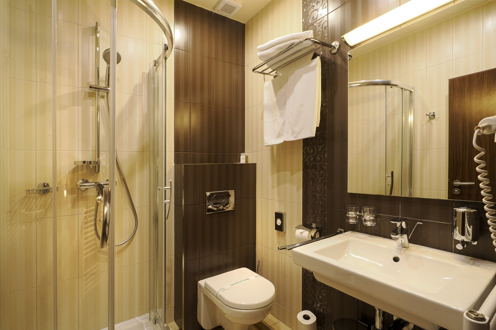 Spa Hotel Zdravia #46