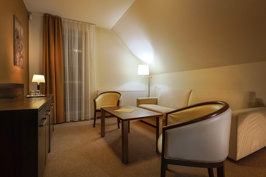 Spa Hotel Zdravia #47