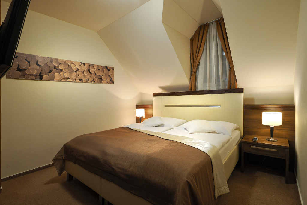 Spa Hotel Zdravia #62