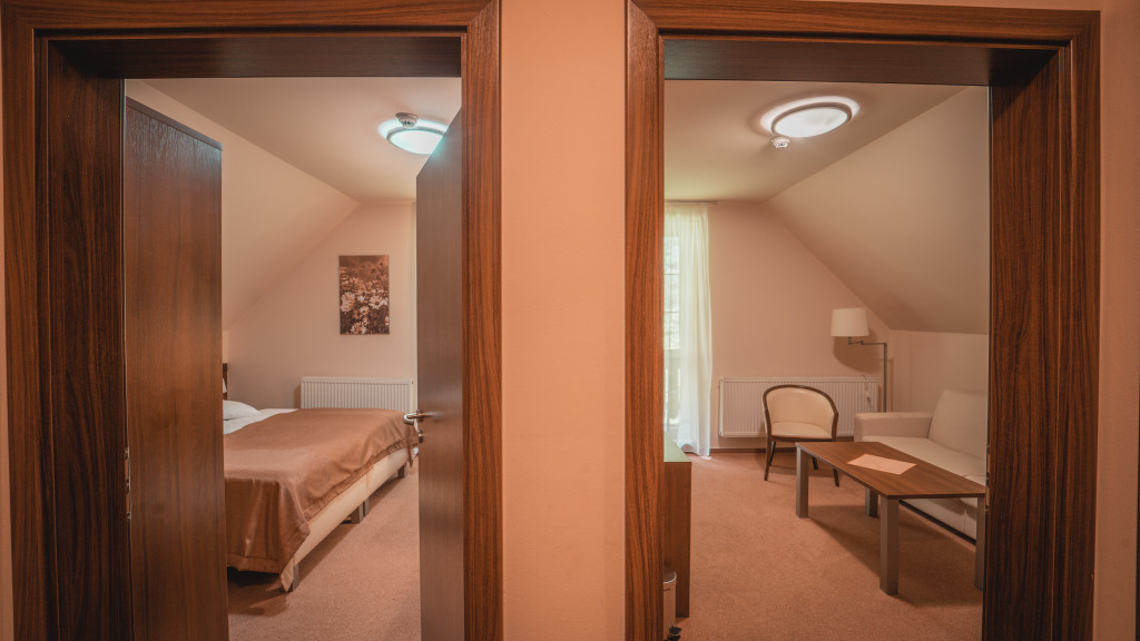 Spa Hotel Zdravia #70