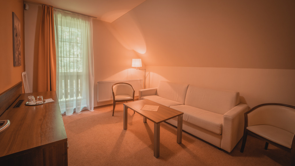 Spa Hotel Zdravia #77