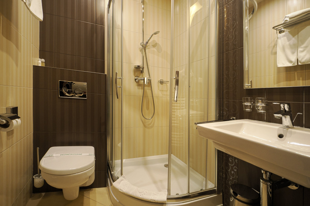 Spa Hotel Zdravia #39