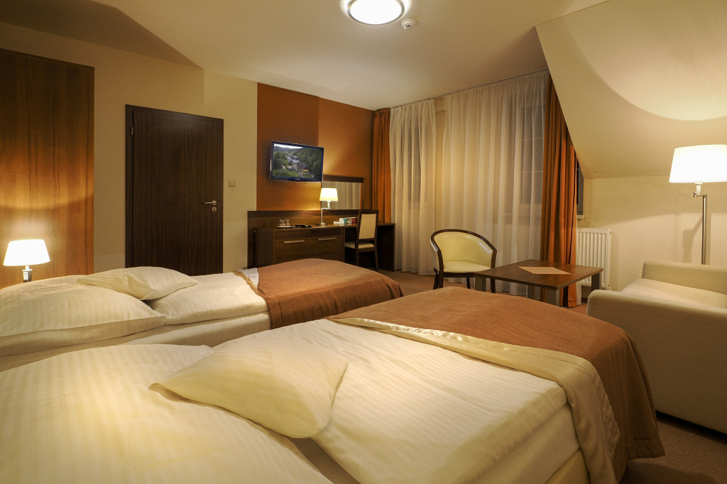 Spa Hotel Zdravia #37