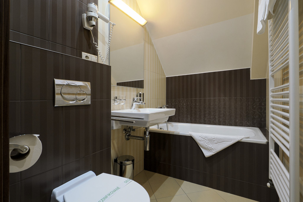Spa Hotel Zdravia #41