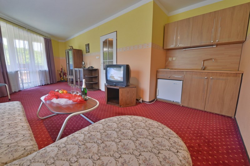 Spa house ALŽBETA #10